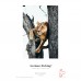 Hahnemuhle German Etching 310gsm 44 inch x 12m Paper Roll